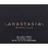 Anastasia Beverly Hills – Blush Trio(Pink Passion)