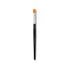 Anastasia Beverly Hills – Brush – #18